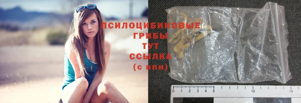сатива Вязники