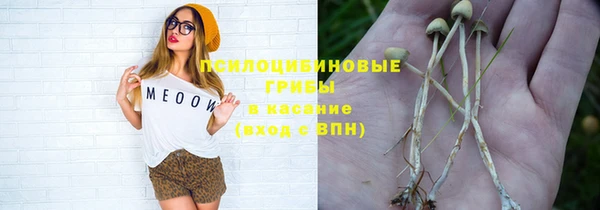 гидропоника Вяземский