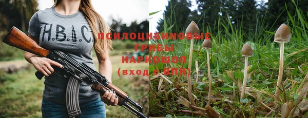 сатива Вязники