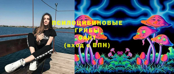 ПСИЛОЦИБИНОВЫЕ ГРИБЫ Вязьма