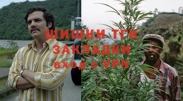 сатива Вязники