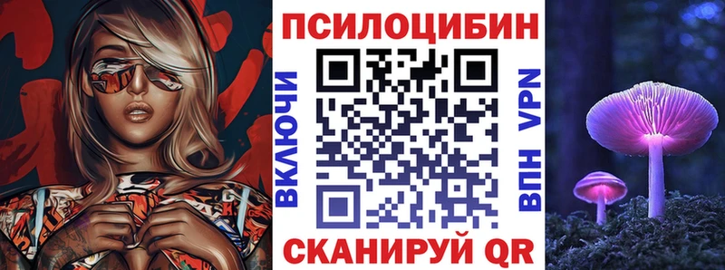 Купить  Закаменск  Галлюциногенные грибы Psilocybe 